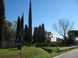 IMG 0159